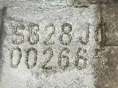 Second-hand car spare part gearbox for kia pro_cee´d 2.0 crdi oem iam references s828jc 43000-24330 4300024330