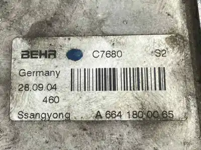 Pezzo di ricambio per auto di seconda mano radiatore olio motore per ssangyong rodius 2.7 turbodiesel cat riferimenti oem iam a6641800065  