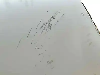 Автозапчастина б/у капок для citroen berlingo multispace (b9) 1.6 hdi 75 16v посилання на oem iam 7901p7  