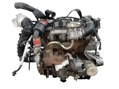 Pezzo di ricambio per auto di seconda mano motore completo per ford focus berlina (cak) 1.8 tdci cat riferimenti oem iam ffda rm6g9q6005aa 2m5q6005aaa