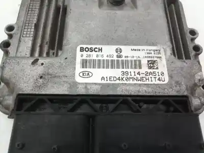 Автозапчасти б/у блок управления двигателем за kia ceed (ed) d4fbw ссылки oem iam 0281016492  