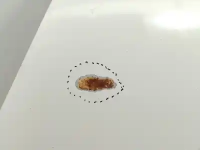 Peça sobressalente para automóvel em segunda mão capot por fiat doblo active referências oem iam 51810378  