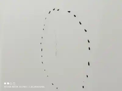 Peça sobressalente para automóvel em segunda mão capot por ford ka+ black / white referências oem iam 2089494  