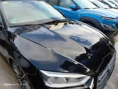 Peça sobressalente para automóvel em segunda mão capot por audi a5 (f53, f5p) 40 tdi referências oem iam 8w6823029