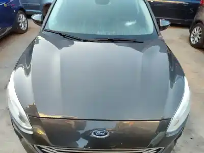 Pièce détachée automobile d'occasion capot pour ford focus trend edition références oem iam 2513128
