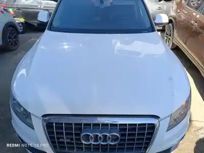 Peça sobressalente para automóvel em segunda mão capot por audi q5 (8r) 2.0 tdi (125kw) referências oem iam 8r0823029