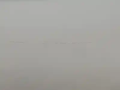 İkinci el araba yedek parçası arka sol kapi için citroen c3 tonic oem iam referansları 9002cc  