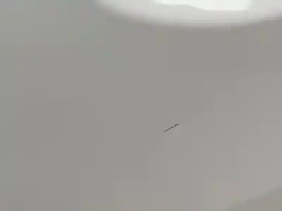 İkinci el araba yedek parçası arka sol kapi için citroen c3 tonic oem iam referansları 9002cc  