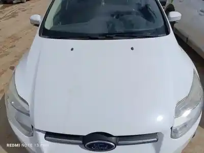 Peça sobressalente para automóvel em segunda mão capot por ford focus lim. (cb8) ambiente referências oem iam pbm51a16610ac