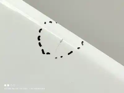 Second-hand car spare part front right fin for ford focus titanium oem iam references 2621783  