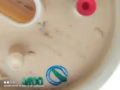 Peça sobressalente para automóvel em segunda mão boia / bomba combustível por skoda rapid active referências oem iam 6r0919050k  