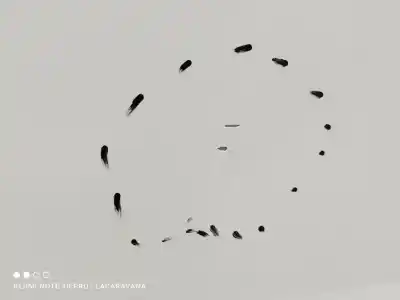 İkinci el araba yedek parçası arka sol kapi için citroen c3 collection oem iam referansları 9002cc  