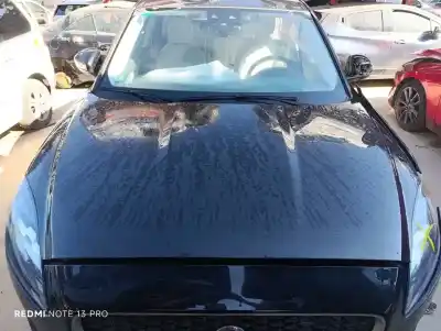 Pezzo di ricambio per auto di seconda mano COFANO per JAGUAR E-PACE  Riferimenti OEM IAM SAJ9C316612AA  