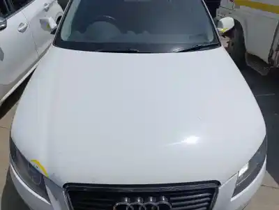 Peça sobressalente para automóvel em segunda mão capot por audi a3 (8p) 1.6 tdi ambiente referências oem iam 8p0823029e