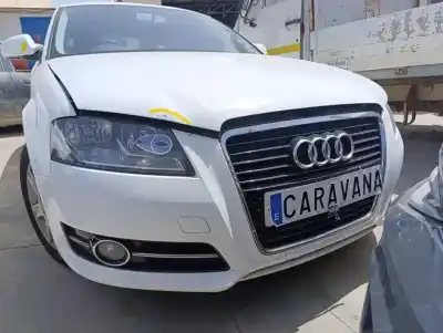 Peça sobressalente para automóvel em segunda mão para choques dianteiro por audi a3 (8p) 1.6 tdi ambiente referências oem iam 8p0807105e