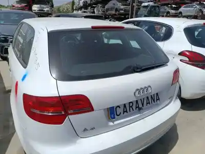 Peça sobressalente para automóvel em segunda mão porta da mala / tampa traseira por audi a3 (8p) 1.6 tdi ambiente referências oem iam 8p4827023h