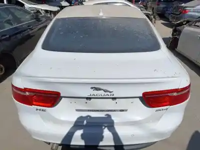 Pezzo di ricambio per auto di seconda mano portellone per jaguar xe pure riferimenti oem iam gx7340110af