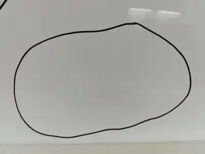 Pezzo di ricambio per auto di seconda mano porta anteriore destra per audi a4 b8 (8k2) 2.0 tdi riferimenti oem iam 8k0831052j   Pezzo di ricambio per auto di seconda mano porta anteriore destra per audi a4 b8 (8k2) 2.0 tdi riferimenti oem iam 8k0831052j