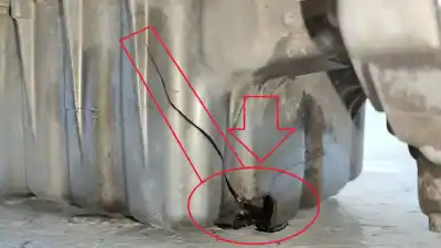 Second-hand car spare part complete engine for ssangyong korando limited 4x2 oem iam references 672950  