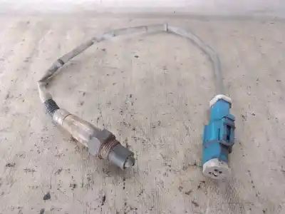 Peça sobressalente para automóvel em segunda mão sonda lambda por ford focus berlina (cap) hwdb referências oem iam   
