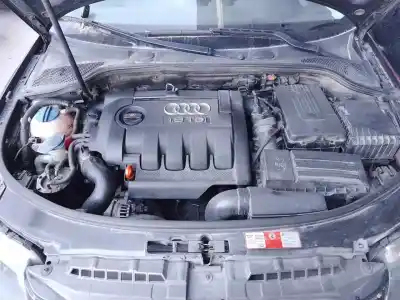 Tweedehands auto-onderdeel Versnellingsbak Koppeling voor AUDI A3 (8P1) 1.9 TDI OEM IAM-referenties   