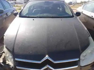 Автозапчасти б/у капот за citroen c5 iii (rd_) 2.0 hdi (rdrhda) ссылки oem iam 