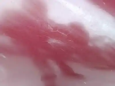 Автозапчастина б/у передне праве крило для seat toledo ii (1m2) 1.9 tdi посилання на oem iam   