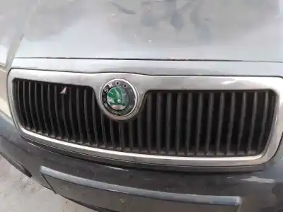 Автозапчастина б/у ПЕРЕДНЯ РЕШІТА для SKODA FABIA (6Y2/6Y3) BME Посилання на OEM IAM   