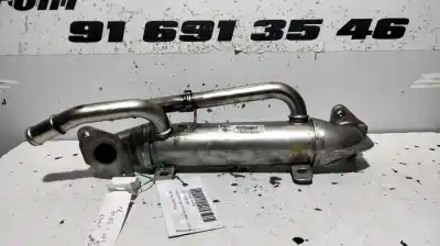 Peça sobressalente para automóvel em segunda mão radiador de gases de escape (egr) por audi a4 berlina (8e) 2.0 tdi 16v (103kw) referências oem iam 038131513s  