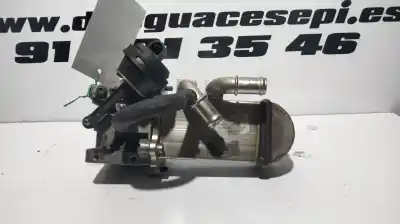 Peça sobressalente para automóvel em segunda mão RADIADOR DE GASES DE ESCAPE (EGR) por AUDI Q7 (4L)  Referências OEM IAM 059131508G  
