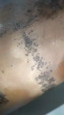 Автозапчасти б/у фильтр частиц за renault kangoo expression ссылки oem iam h8201431468 h8201431468h8201431468h8201431468 208a00306r