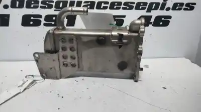 Автозапчасти б/у охладитель рог за audi a4 avant (8k5) (2008) básico quattro ссылки oem iam v29041282  