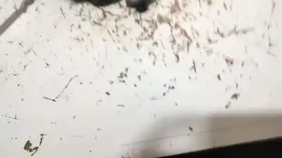 Second-hand car spare part turbocharger for citroen berlingo 1.9 d x familiar oem iam references 9682881380 4917307506 25s206t4