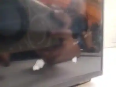 Second-hand car spare part multifunction display for renault clio v 1.5 dci 101 cv evolution oem iam references 280346137r  