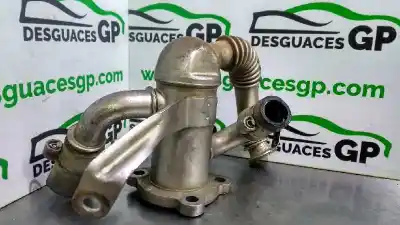 Автозапчастина б/у клапан egr для suzuki ignis rm (mh) básico посилання на oem iam fgp5518465  