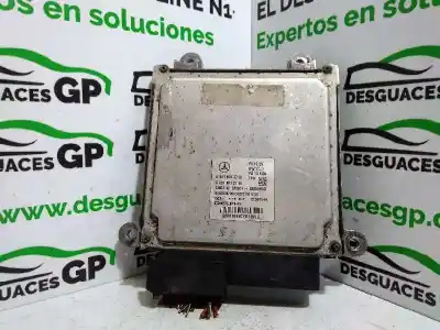 Pezzo di ricambio per auto di seconda mano CENTRALINA MOTORE per MERCEDES-BENZ CLASE E (W212) LIM.  Riferimenti OEM IAM A6519003701  