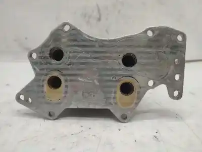 Pezzo di ricambio per auto di seconda mano radiatore olio motore per vw phaeton (3d1, 3d2, 3d3, 3d4, 3d6, 3d7, 3d8, 3d9) 3.0 v6 tdi 4motion riferimenti oem iam 059117021h  