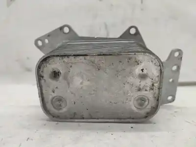 Pezzo di ricambio per auto di seconda mano radiatore olio motore per vw phaeton (3d1, 3d2, 3d3, 3d4, 3d6, 3d7, 3d8, 3d9) 3.0 v6 tdi 4motion riferimenti oem iam 059117021h  