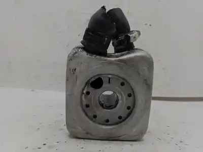 Pezzo di ricambio per auto di seconda mano Radiatore Olio Motore per VOLKSWAGEN PASSAT B5 (3B2) 1.9 TDI Riferimenti OEM IAM   