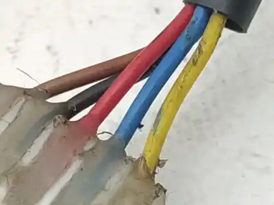 Автозапчастина б/у правий задний огляд для citroen berlingo / berlingo first monospace (mf_, gjk_, gfk_) 1.6 hdi 90 (mf9hx) посилання на oem iam 8153hs  