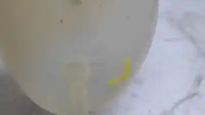 Pezzo di ricambio per auto di seconda mano cauzione di espansione per renault captur helly hansen riferimenti oem iam   