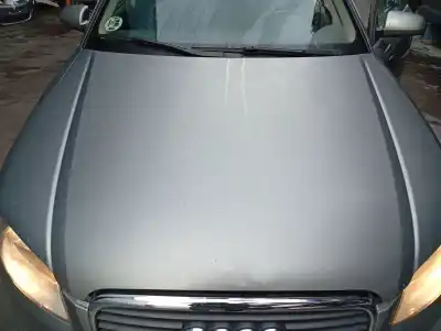 Pezzo di ricambio per auto di seconda mano cofano per audi a4 berlina (8e) 1.9 tdi riferimenti oem iam 