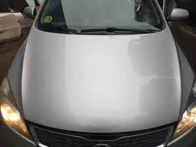 Pezzo di ricambio per auto di seconda mano cofano per kia pro_ceed drive 90 cv / 66 kw riferimenti oem iam 