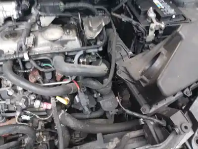 Tweedehands auto-onderdeel versnellingsbak voor ford focus berlina (cap) ambiente (d) oem iam-referenties 