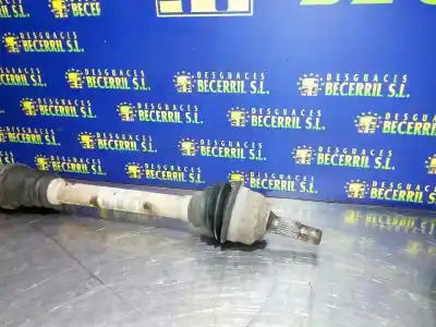 Peça sobressalente para automóvel em segunda mão transmissão dianteira direita por peugeot 307 break / sw (s1) sw clim referências oem iam   