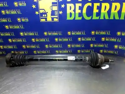 Автозапчасти б/у передняя правая трансмиссия за seat leon (1m1) stella ссылки oem iam 1j0407452x