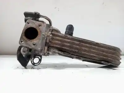 Автозапчастина б/у КУЛЕР EGR для SEAT LEON (1P1)  Посилання на OEM IAM 038131513AD  