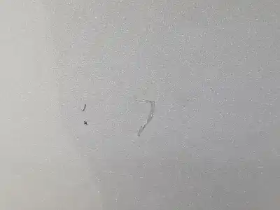 Second-hand car spare part front right door for bmw x5 (e70) 3.0d oem iam references   