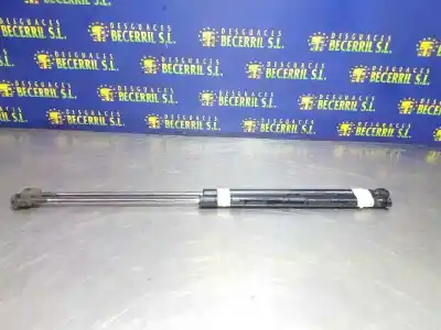 Pièce détachée automobile d'occasion vérin de hayon / coffre pour ford focus berlina (cap) trend références oem iam 1321021  