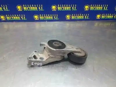 Pezzo di ricambio per auto di seconda mano TENDICINGHIA AUSILIARIA per SEAT LEON (1M1)  Riferimenti OEM IAM 06A903315E  
